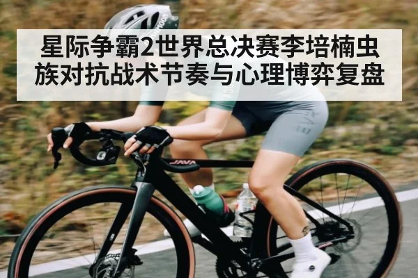 星际争霸2世界总决赛李培楠虫族对抗战术节奏与心理博弈复盘