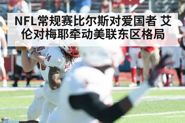 NFL常规赛比尔斯对爱国者 艾伦对梅耶牵动美联东区格局